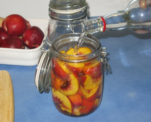 Preserving Summer