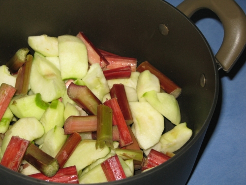 Apple and Rhubarb Crumble with Hastings Valley Honey Yoghurt