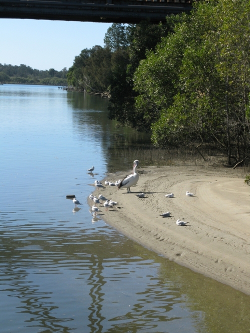 Anchors Wharf Cafe, Urunga