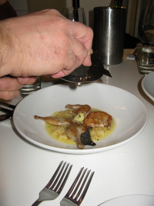 The Stunned Mullet, Port Macquarie