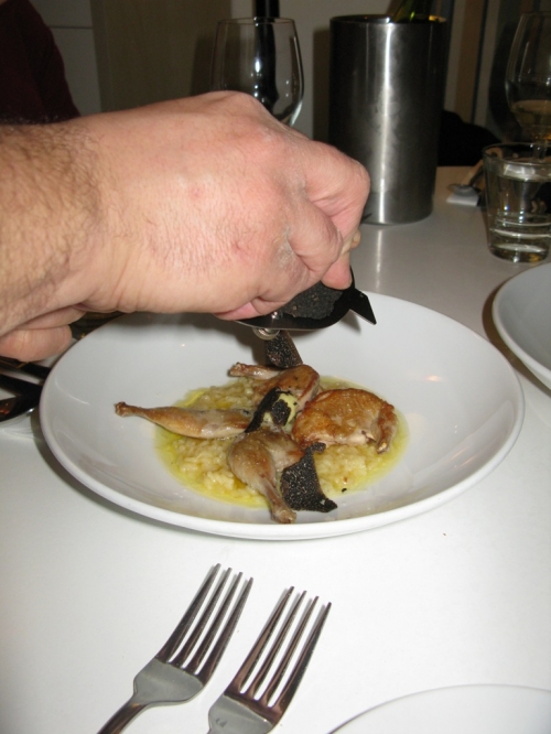 The Stunned Mullet, Port Macquarie