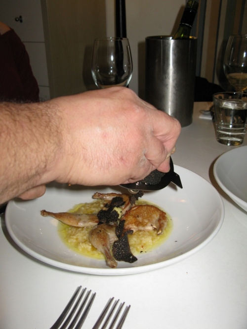 The Stunned Mullet, Port Macquarie