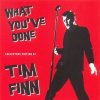 Tim Finn: What You've Done