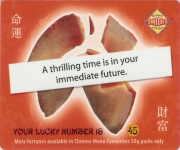 
Lucky Number: 45
Fortune: A thrilling time is in your immediate future.
(Back Image)