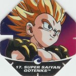 #17
Super Saiyan Gotenks
Power 16,000,000
Water<br />Red Back<br />Cut #1 (&reg;)
(Front Image)