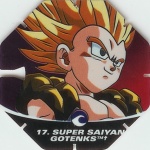 #17
Super Saiyan Gotenks
Power 16,000,000
Water<br />Red Back<br />Cut #2 (&trade;)
(Front Image)