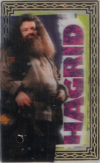 Rubeus Hagrid

(Front Image)