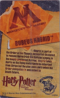 Rubeus Hagrid

(Back Image)