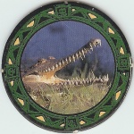 Crocodile

(Front Image)