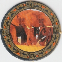 Elephant

(Front Image)