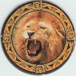 Lion

(Front Image)