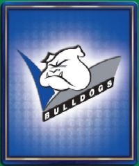 #8
Canterbury Bulldogs

(Front Image)