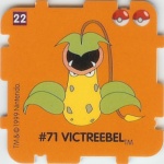 #22
#71 Vixtreebel

(Front Image)