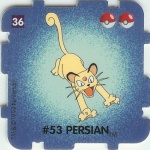 #36
#53 Persian

(Front Image)