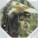 #128
Ewok Logray - Medicine Man

(Front Image)