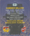 #7
Hammer Willow
Cut #3

(Back Image)