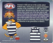#55
Geelong Cats

(Back Image)