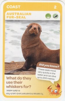 #2
Australian Fur-Seal

(Front Image)