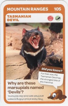 #105
Tasmanian Devil

(Front Image)