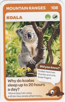 #108
Koala

(Front Image)