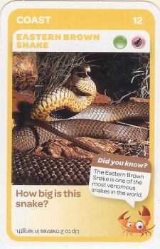 Taronga Zoo Woolworths Aussie Animal Card #25 Bandy Bandy Snake 