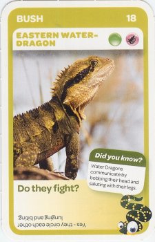 #18
Eastern Water-Dragon

(Front Image)