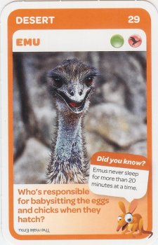 #29
Emu

(Front Image)