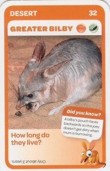 #32
Greater Bilby

(Front Image)