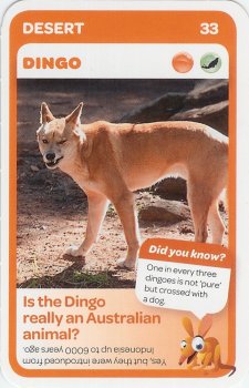 #33
Dingo

(Front Image)