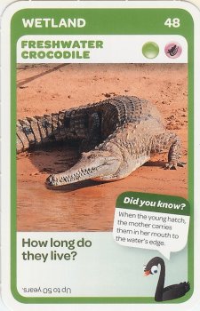 #48
Freshwater Crocodile

(Front Image)