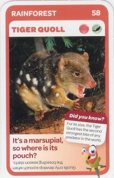 Woolworths Taronga Aussie Animals Cards | Australia  Tazos  Guide