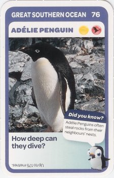 #76
Ad&eacute;lie Penguin

(Front Image)