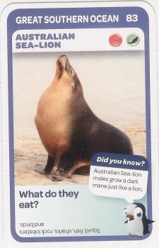 #83
Australian Sea-Lion

(Front Image)