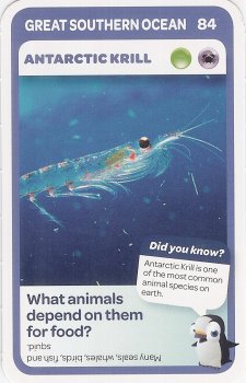 #84
Antarctic Krill

(Front Image)
