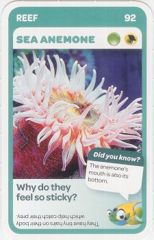 #92
Sea Anemone

(Front Image)