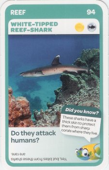 #94
White-Tipped Reef-Shark

(Front Image)