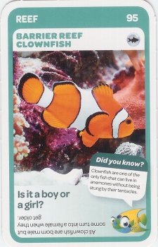 #95
Barrier Reef Clownfish

(Front Image)