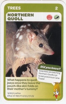 #2
Northern Quoll

(Front Image)