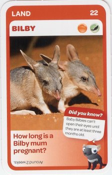 #22
Bilby

(Front Image)
