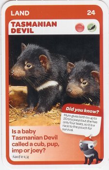 #24
Tasmanian Devil

(Front Image)