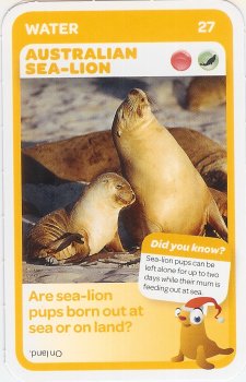#27
Australian Sea-Lion

(Front Image)