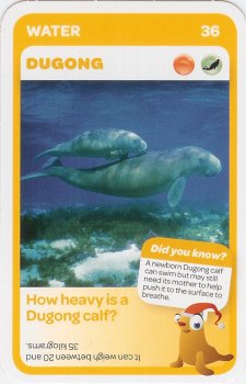 #36
Dugong

(Front Image)
