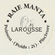Raie Manta

(Back Image)