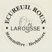 Ecureuil Roux

(Back Image)