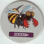 #6
Zooosh

(Front Image)