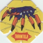 Tarantula

(Front Image)