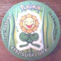 #4
#192 Sunflora

(Front Image)