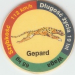 Gepard (Cheetah)

(Front Image)