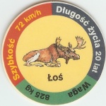 ÅoÅ› (Moose)

(Front Image)