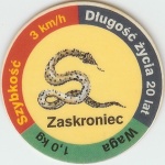 Zaskroniec (Grass Snake)

(Front Image)